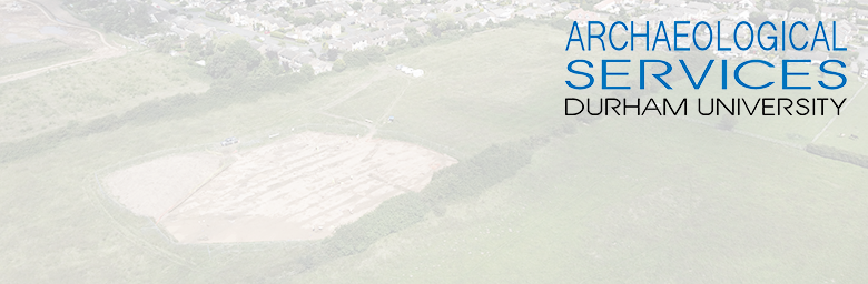 Archaeological Services logo with aerial view of excavation in the background