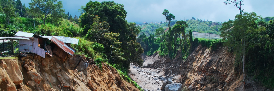 Landslide amongst a forest