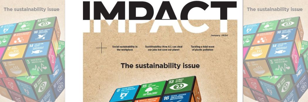 Image of IMPACT magazine issue 13 cover showing sustainability Rubiks cube