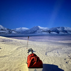 Polar environment with snowy mountains in the background