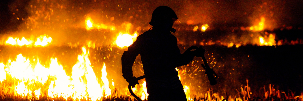 Fire fighter tackling a forest fire