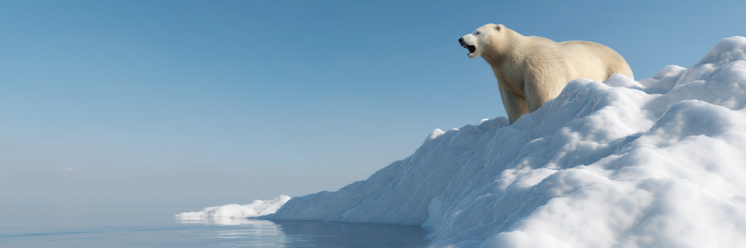 Polar bear roaring on ice cap