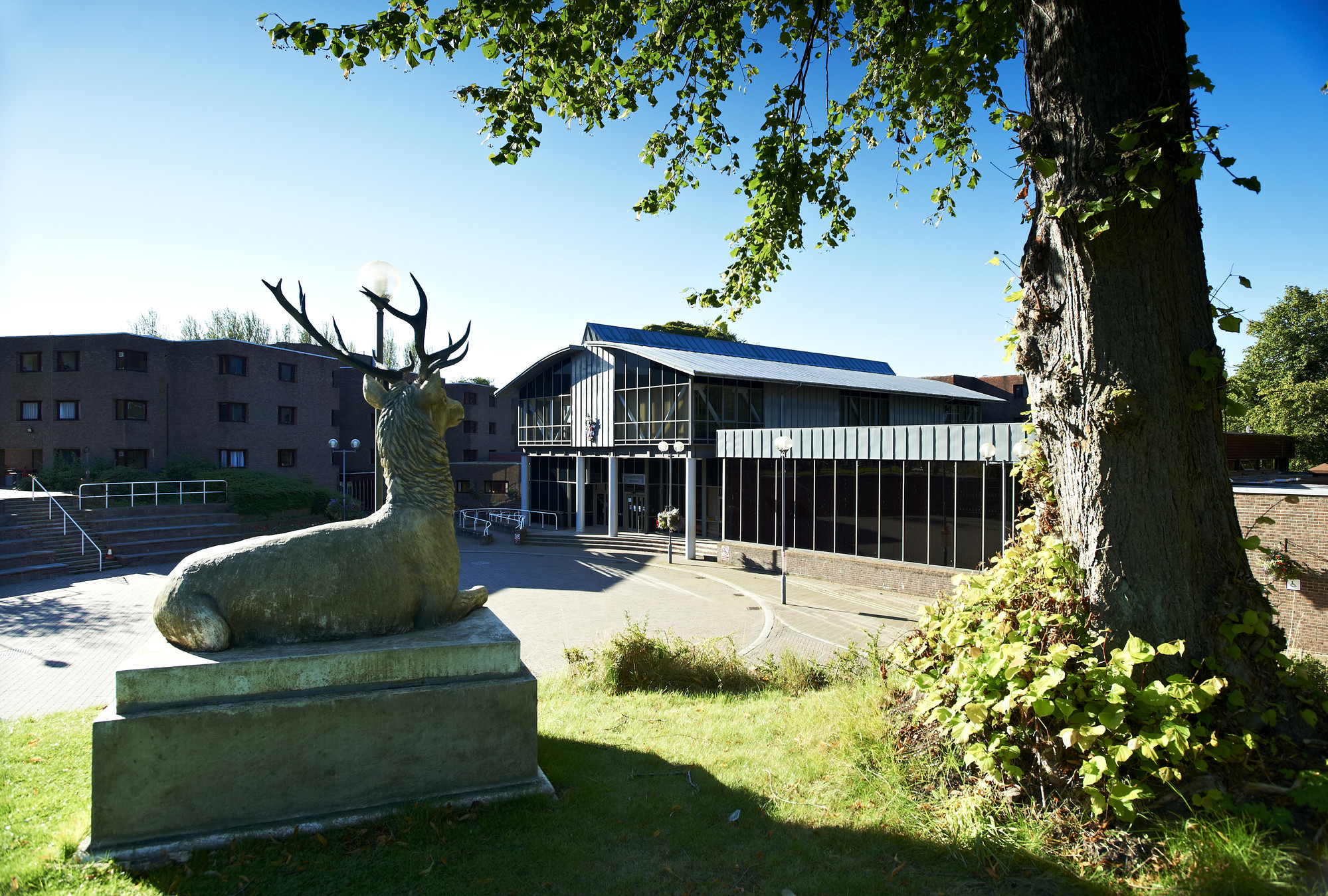 Collingwood College external view with stag statue