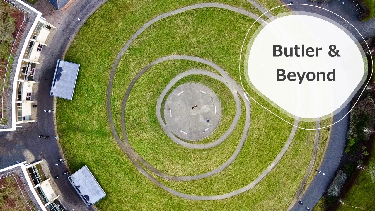 aerial view of the mound at Josephine butler college