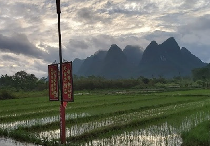 Farming landscape in China