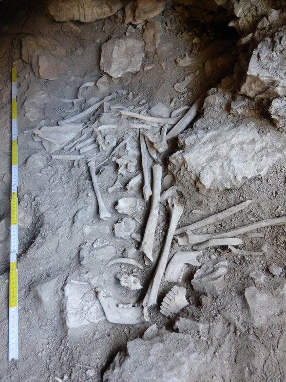 A Bronze Age human inhumation