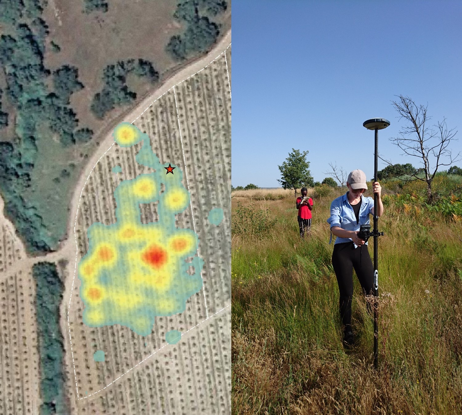 Split image; on the right a GPS survey underway in the field; on the left a satellite image overlaid with site distribution data