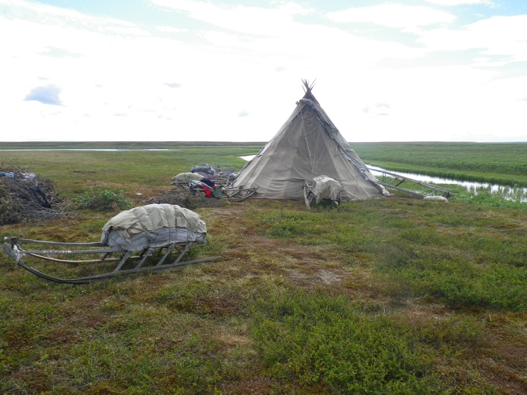 Nenets Camp including sled and conical tent on the Yamal Peninsula