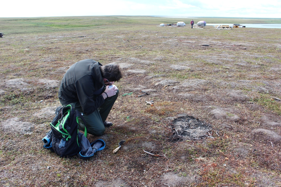 A staff member collecting samples from a field