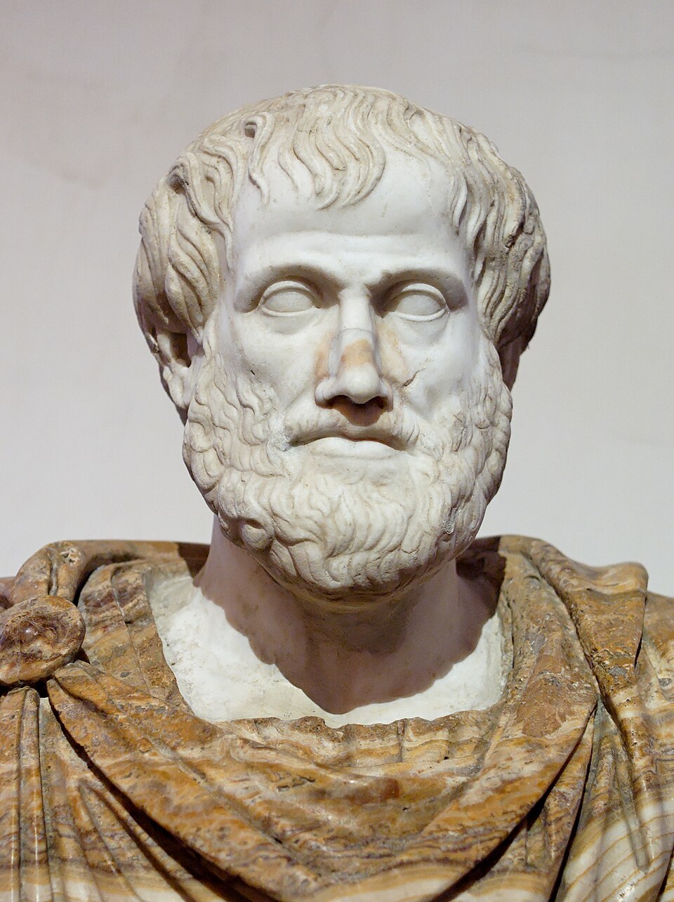 aristotle head
