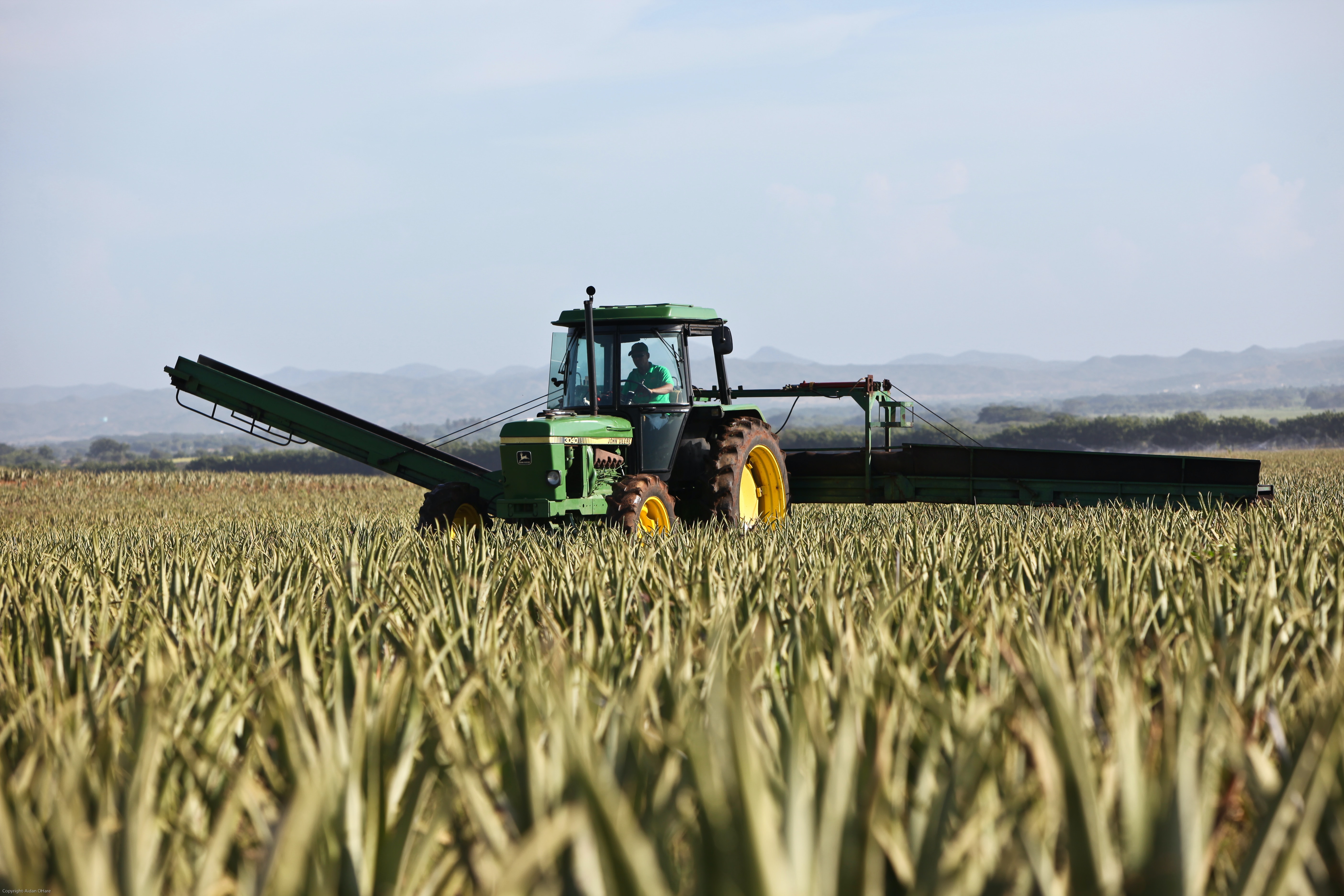 A farmer driving a combine harvester in a field of wheat