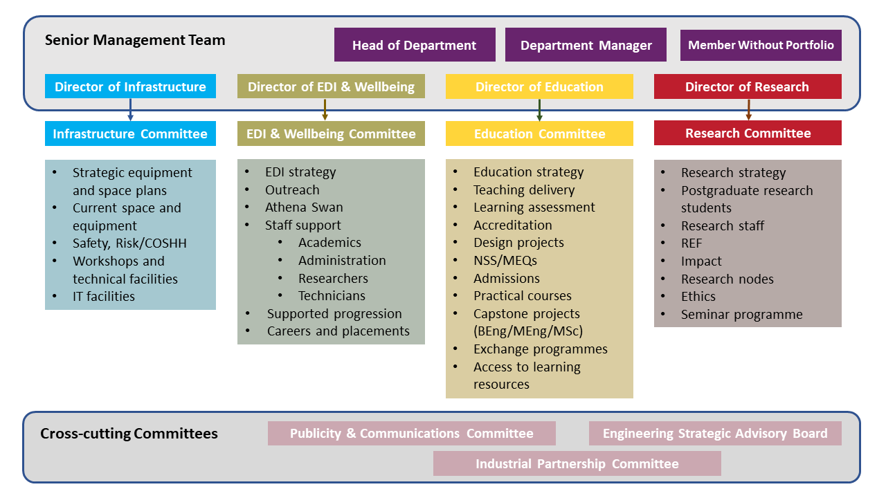 Department Management Structure