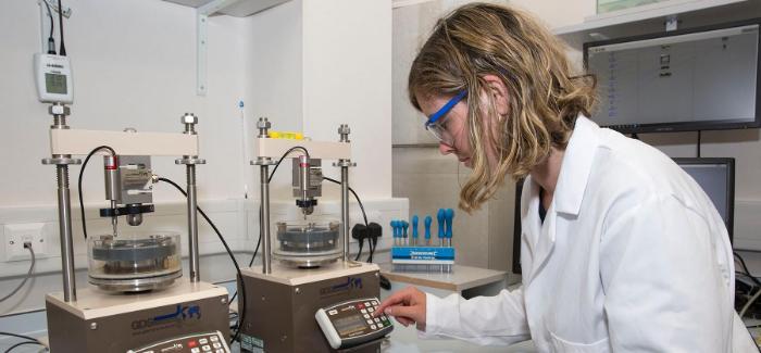 A cropped version of technician working in a lab