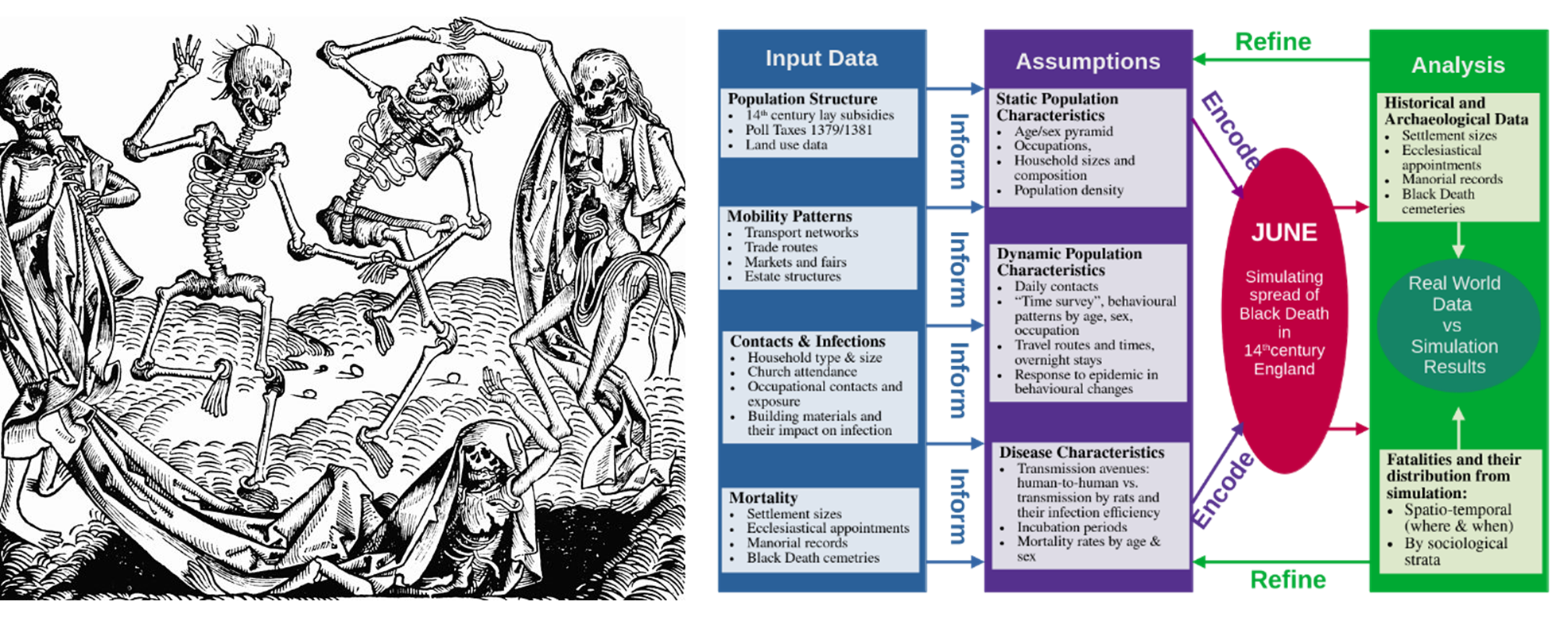 To the left a black and white image of skeletons. On the right a colour diagram depicting social connectivity