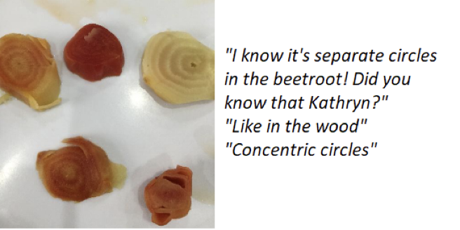 A photo of slices of beetroot, showing circular layers in the beetroot, along with the quote 