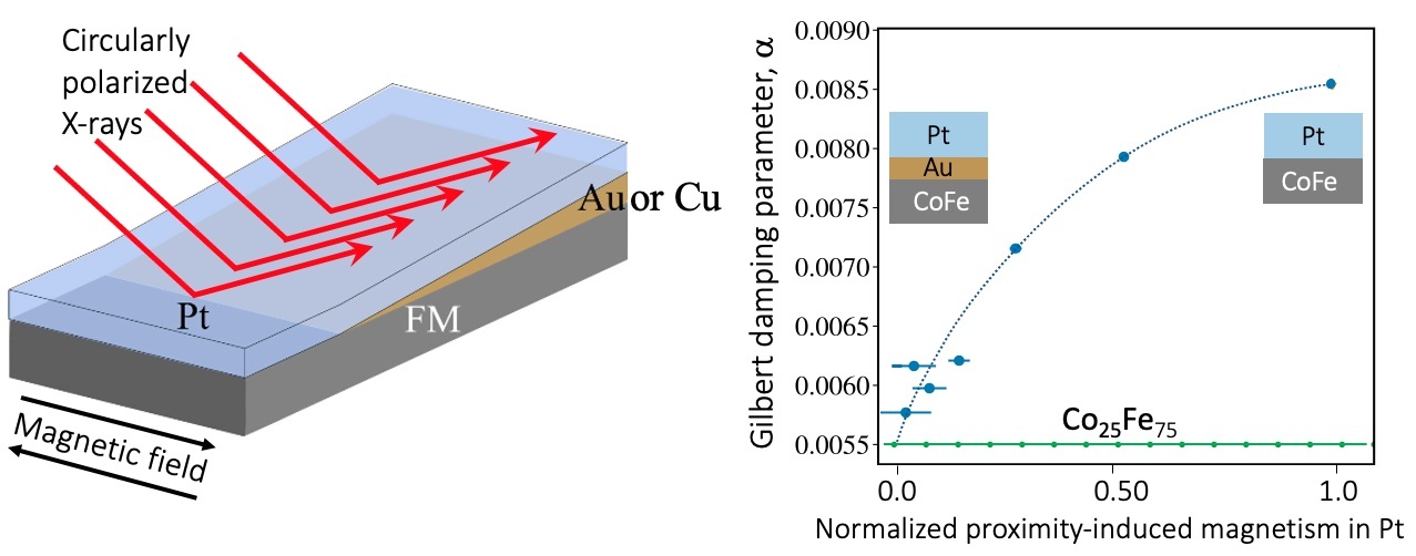 The research demonstrates that efficient interfacial spin transport depends on the proximity-induced-magnetism in “non-magnetic” heavy metal layers within spintronic multilayers.