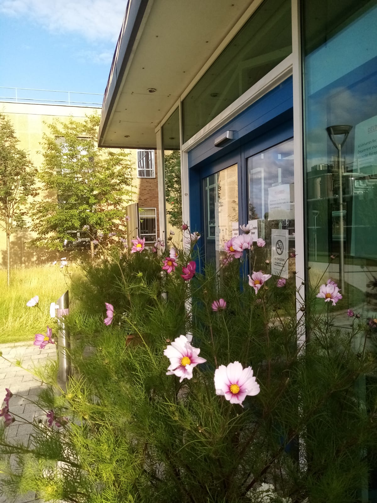 Flowers at the Rochester entrance