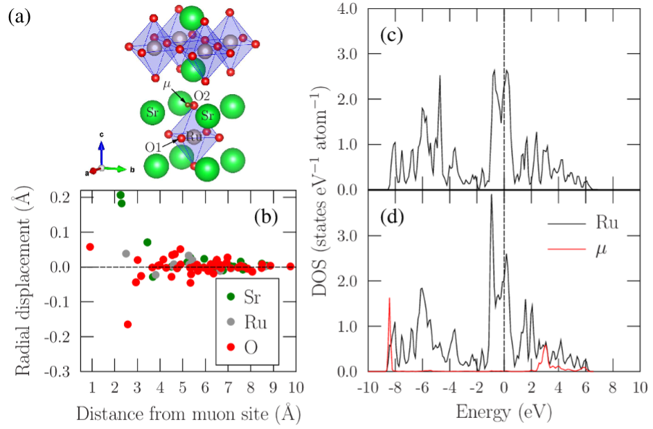 Muon Superconductors