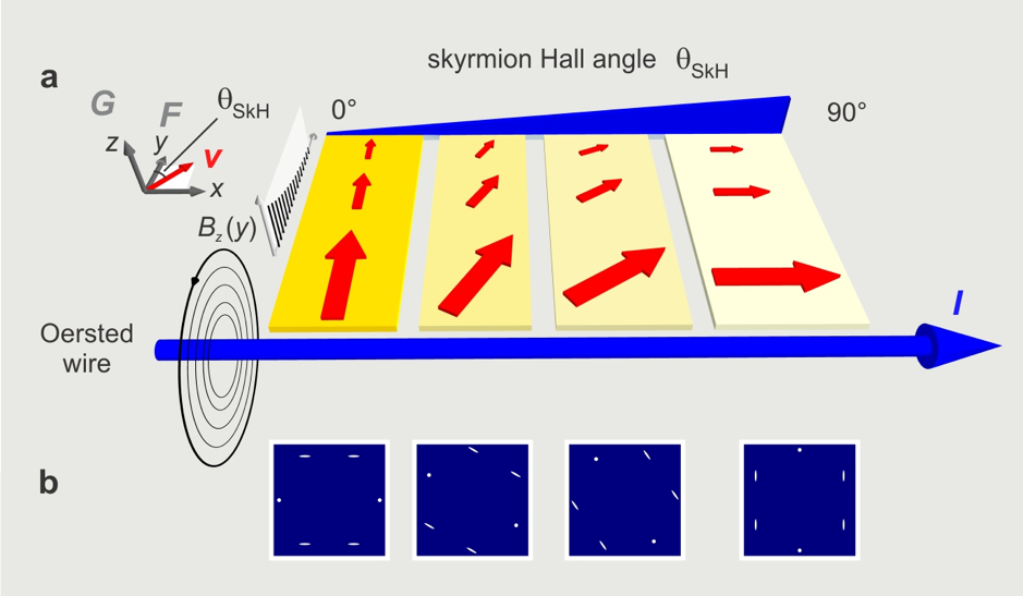 Diagram showing skyrmion Hall angles