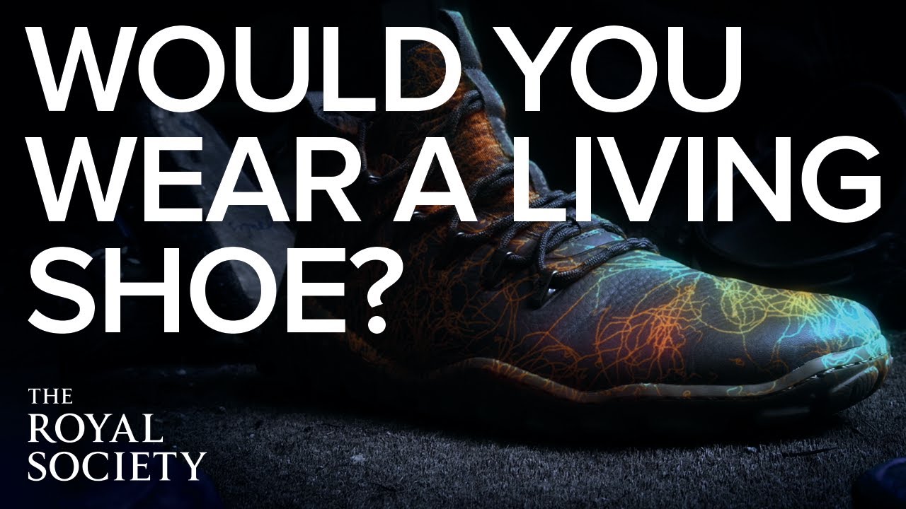 Would you wear a living shoe? The Royal Society poses the question, with the image of a boot with illuminated multicoloured veins spreading through it