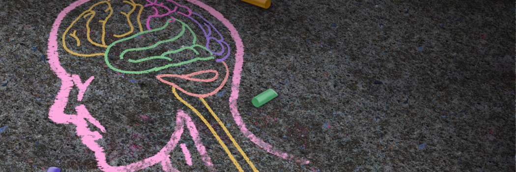 A chalk drawing of a human head and brain