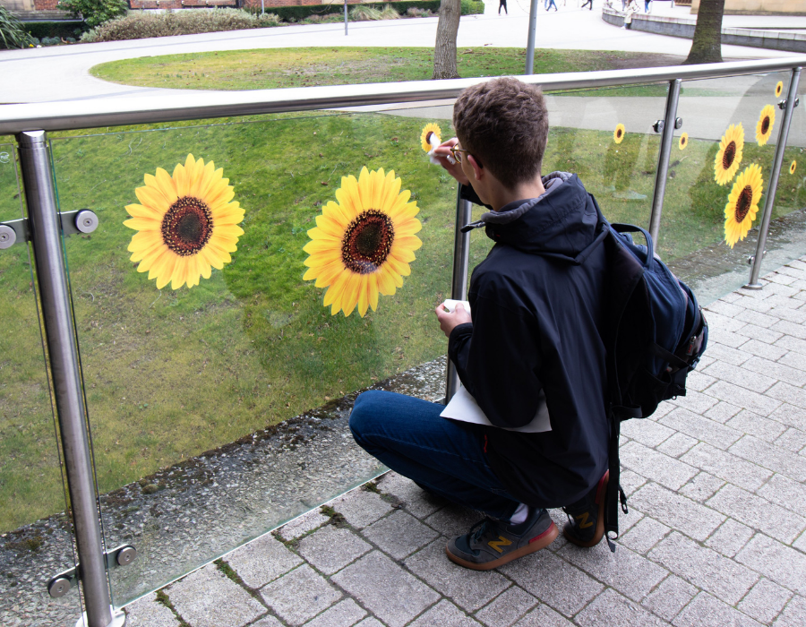 A young man adding a sunflower sticker to a glass wall