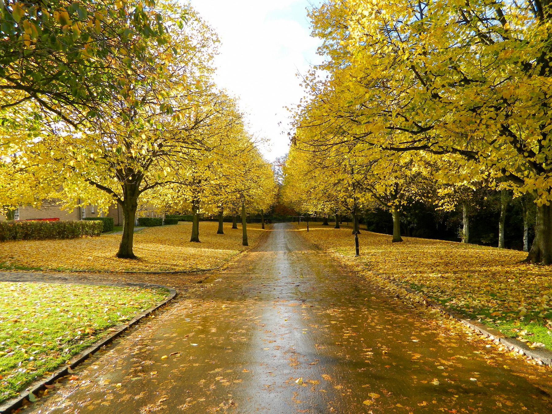 St Mary's College in Autumn