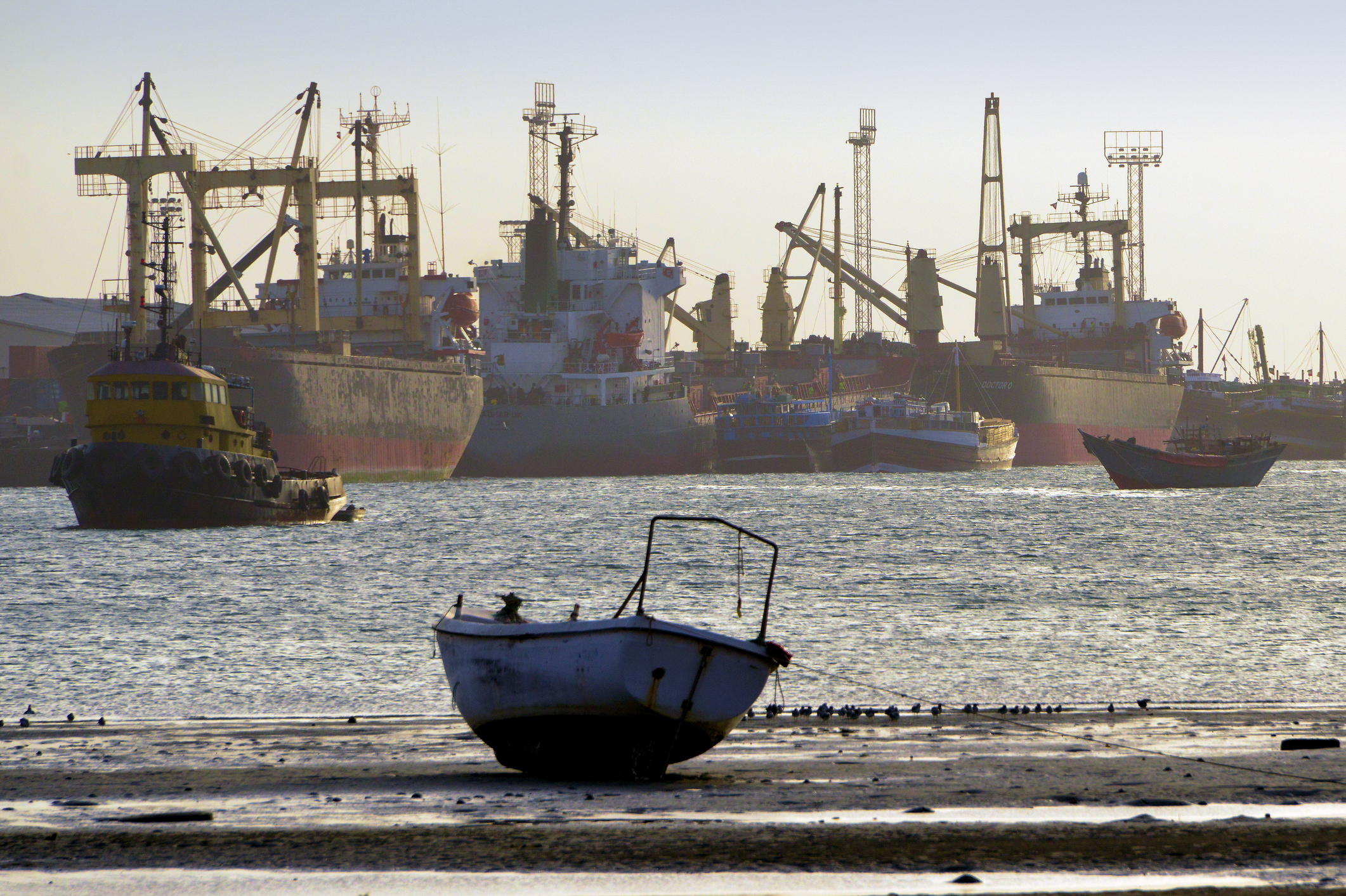 Berbera, Sahil Region, Somaliland, Somalia: freighter ships moored in the Port of Berbera - tugboat and dhows, view from the beach - Somaliland's main harbor, operated by DP World and Berbera Port Authority, Dekedda Berbera.