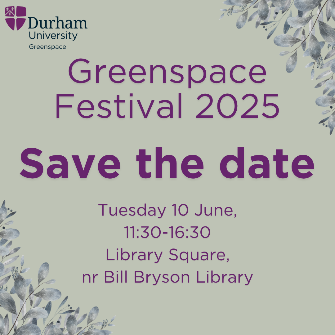 Greenspace Festival 2025 save the date