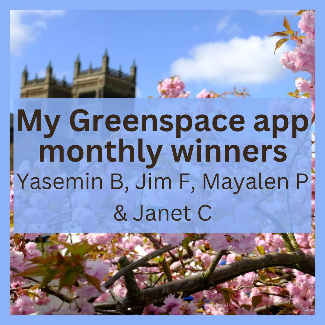 Monthly winners May 2025