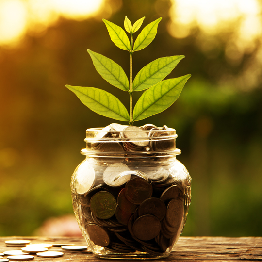 A tree growing out of a jar of coins