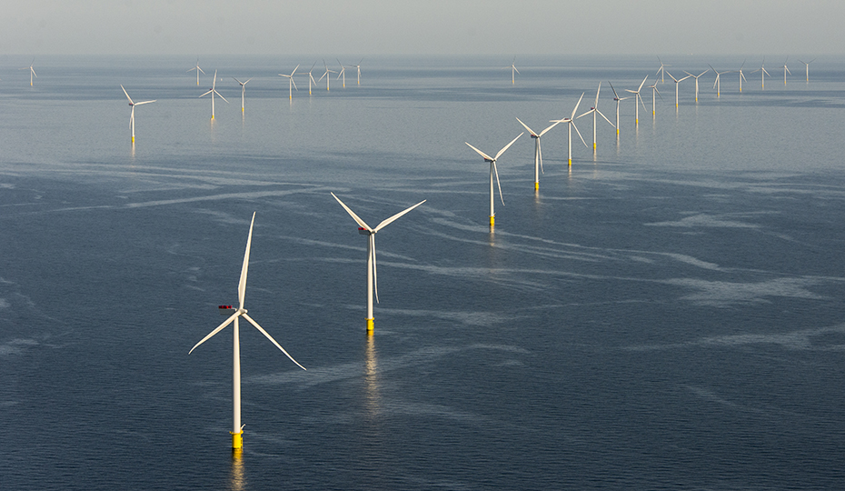 An offshore wind farm on a calm day