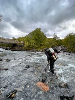 electro-fishing for salmon