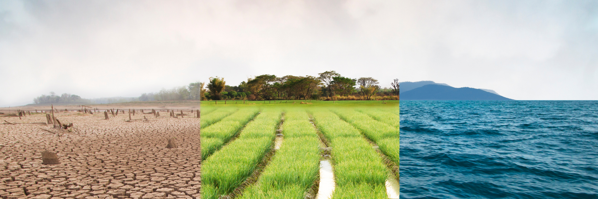 Barren Field, Paddy Field and Ocean