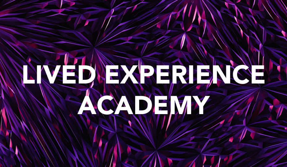Image of Lived Experience Academy
