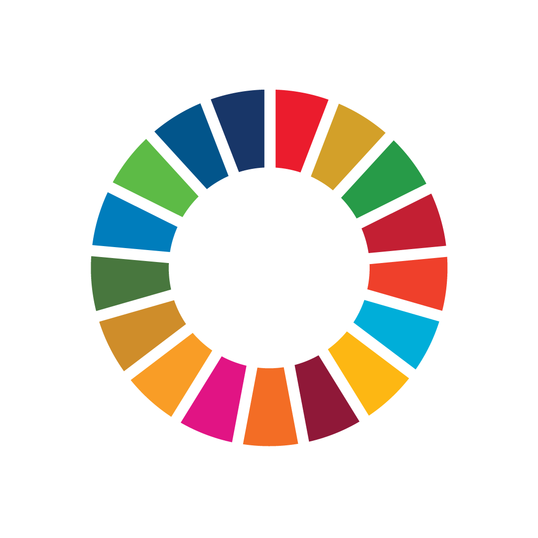 Sustainable Development Goals wheel on a white background