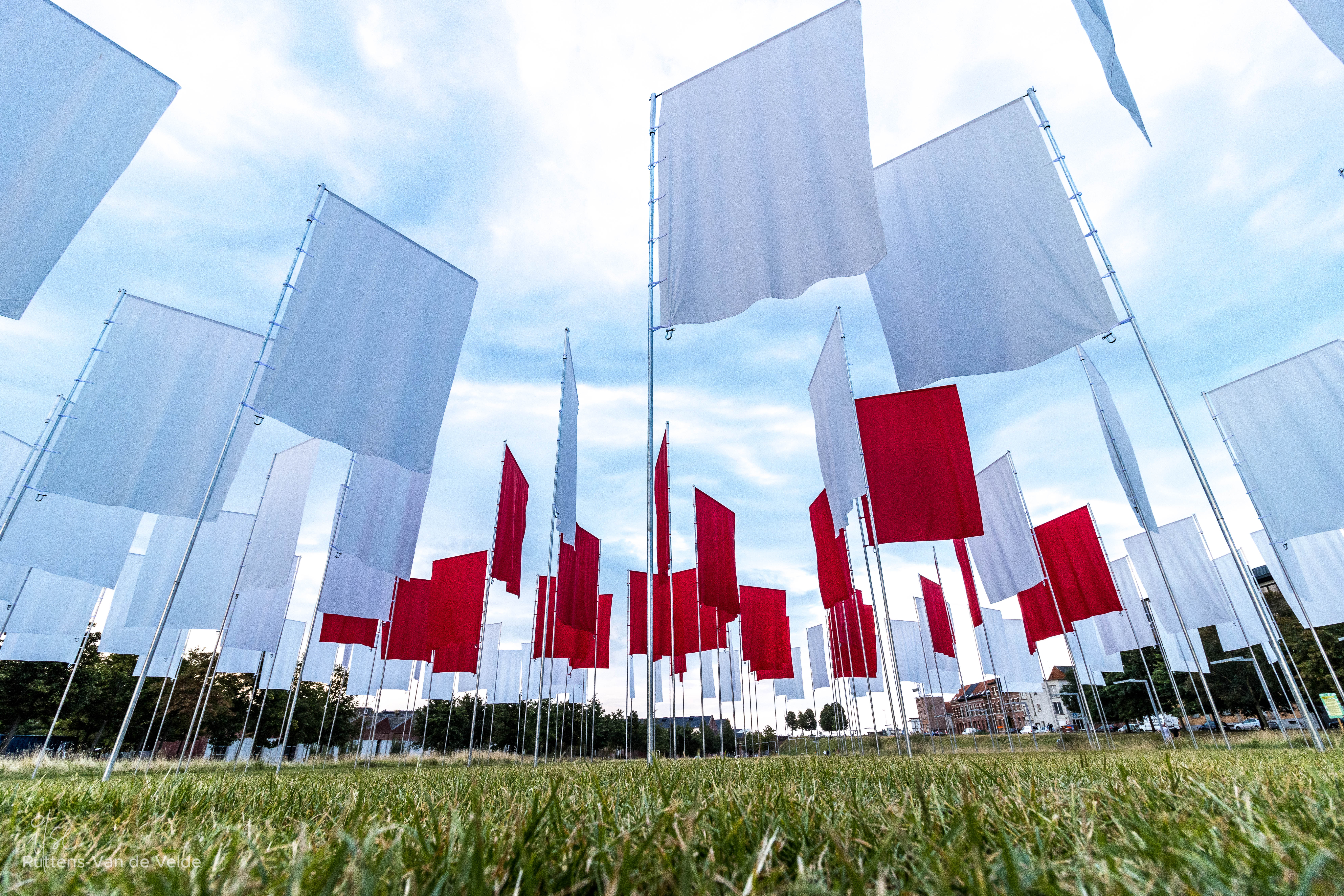 Display of red and white flags