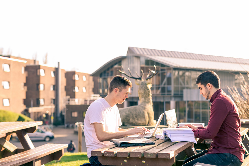 Two students studying outside