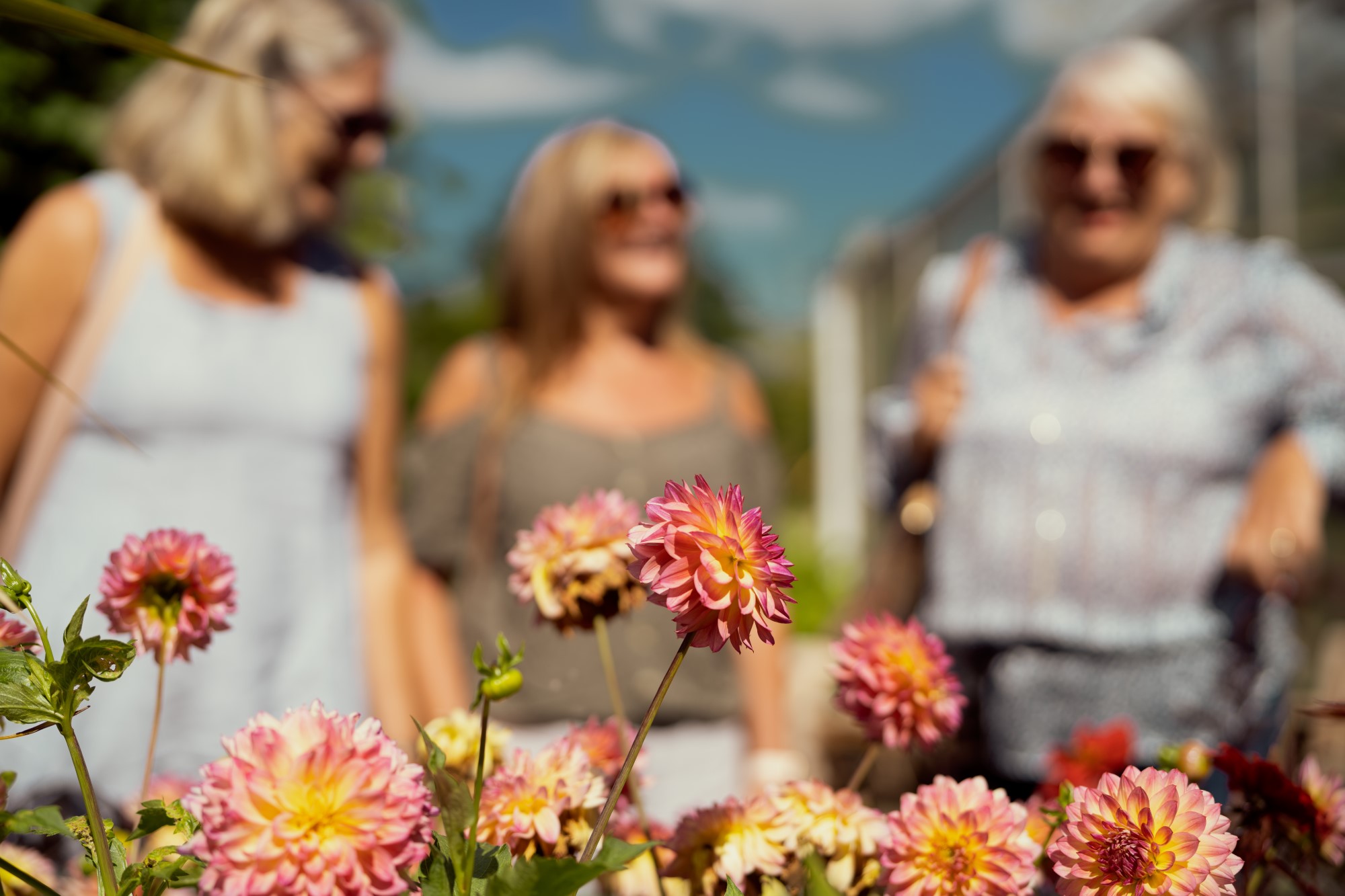 Close-up of flowers in the Botanic Garden, with three blurry people in the background.